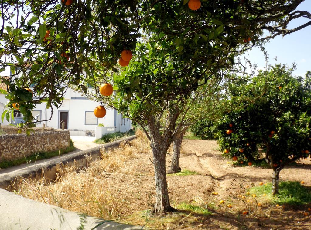 Vila Casas Do Pomar Lagos Pokoj fotografie
