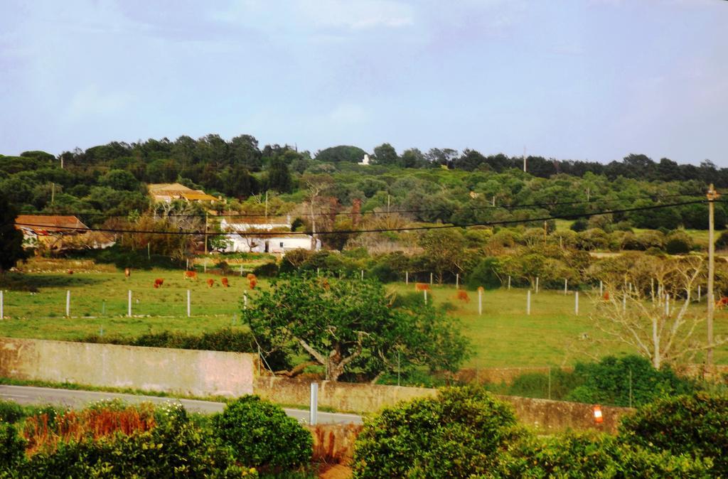 Vila Casas Do Pomar Lagos Pokoj fotografie